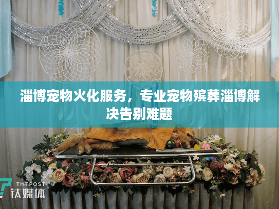 淄博宠物火化服务，专业宠物殡葬淄博解决告别难题