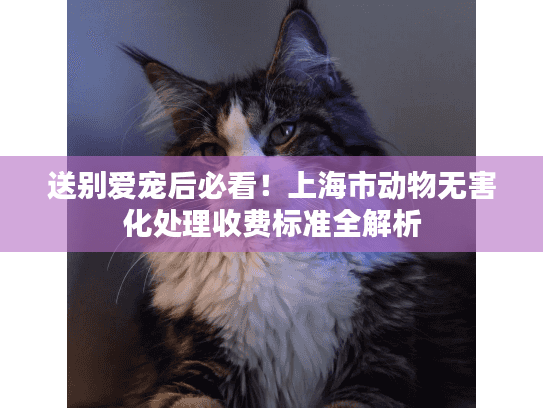送别爱宠后必看！上海市动物无害化处理收费标准全解析