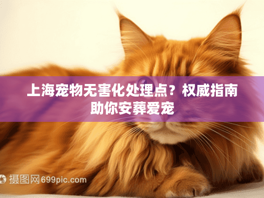 上海宠物无害化处理点？权威指南助你安葬爱宠