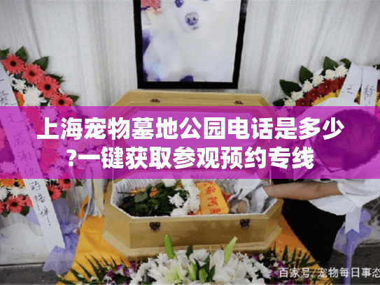 上海宠物墓地公园电话是多少?一键获取参观预约专线