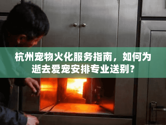 杭州宠物火化服务指南，如何为逝去爱宠安排专业送别？