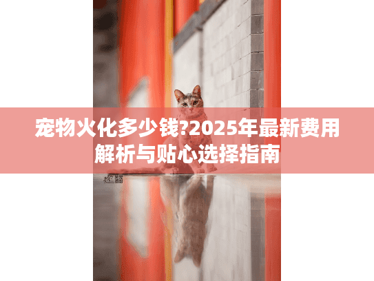 宠物火化多少钱?2025年最新费用解析与贴心选择指南
