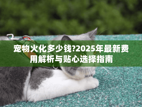 宠物火化多少钱?2025年最新费用解析与贴心选择指南