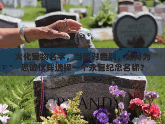 火化宠物名字，当面对告别，如何为忠诚伙伴选择一个永恒纪念名称？