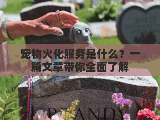 宠物火化服务是什么？一篇文章带你全面了解