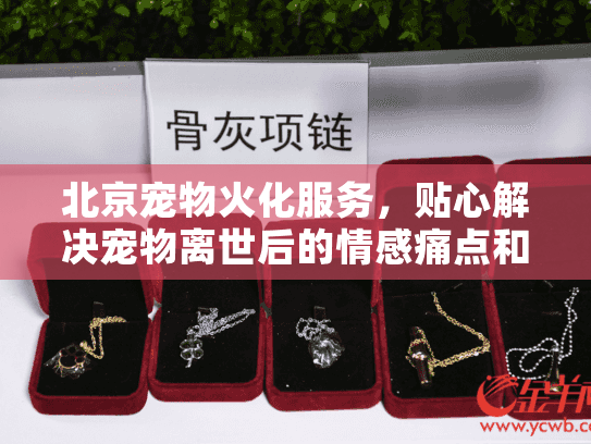 北京宠物火化服务，贴心解决宠物离世后的情感痛点和选择难题