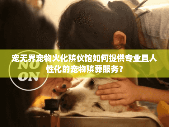 宠无界宠物火化殡仪馆如何提供专业且人性化的宠物殡葬服务？