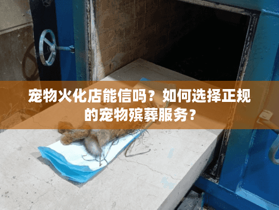 宠物火化店能信吗？如何选择正规的宠物殡葬服务？
