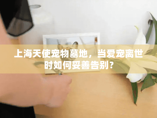 上海天使宠物墓地，当爱宠离世时如何妥善告别？