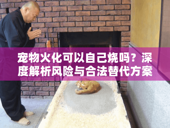 宠物火化可以自己烧吗？深度解析风险与合法替代方案