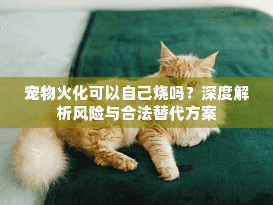 宠物火化可以自己烧吗？深度解析风险与合法替代方案