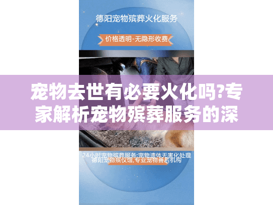 宠物去世有必要火化吗?专家解析宠物殡葬服务的深层意义!