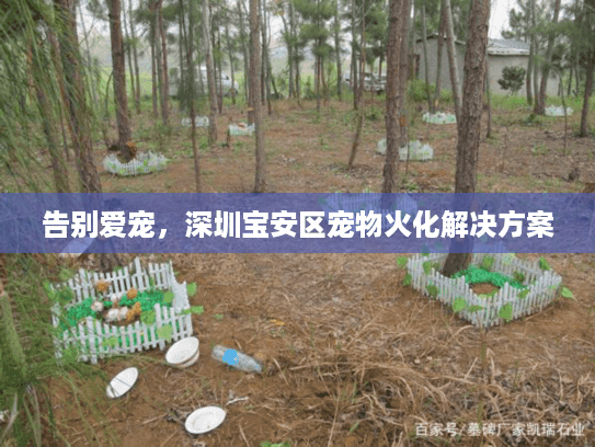告别爱宠，深圳宝安区宠物火化解决方案