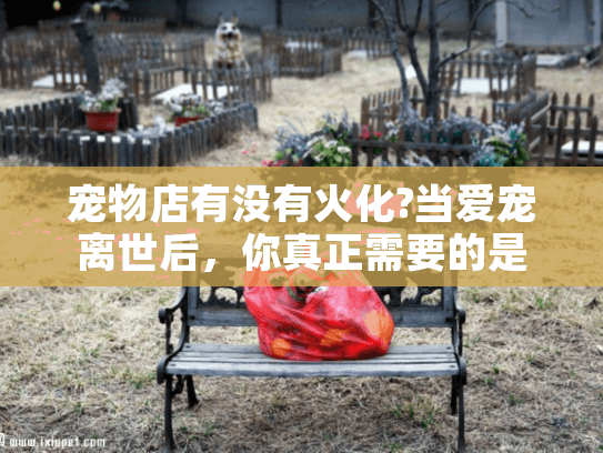 宠物店有没有火化?当爱宠离世后，你真正需要的是专业的宠物殡葬服务