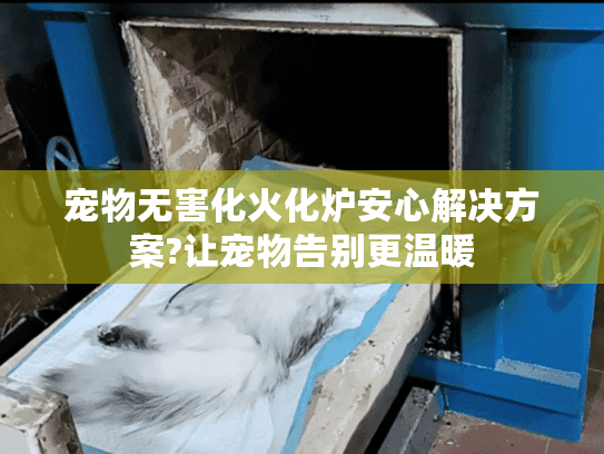 宠物无害化火化炉安心解决方案?让宠物告别更温暖