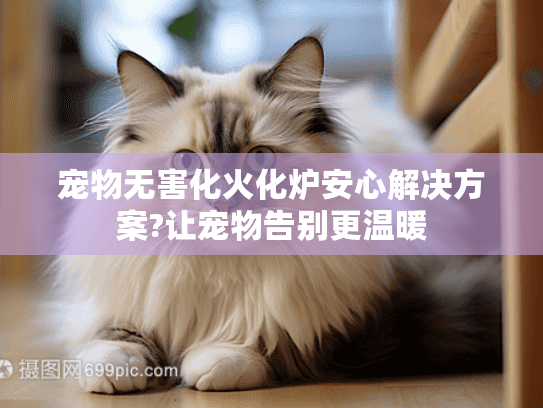 宠物无害化火化炉安心解决方案?让宠物告别更温暖