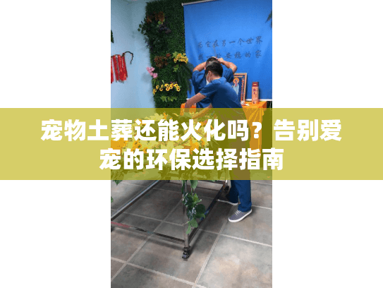 宠物土葬还能火化吗？告别爱宠的环保选择指南