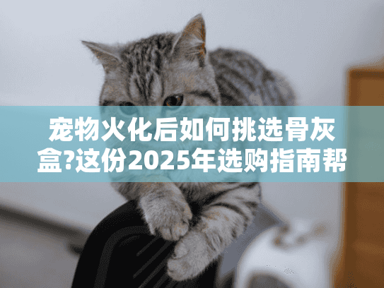 宠物火化后如何挑选骨灰盒?这份2025年选购指南帮你避坑