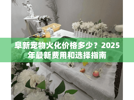 阜新宠物火化价格多少？2025年最新费用和选择指南