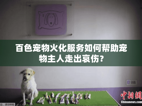 百色宠物火化服务如何帮助宠物主人走出哀伤？