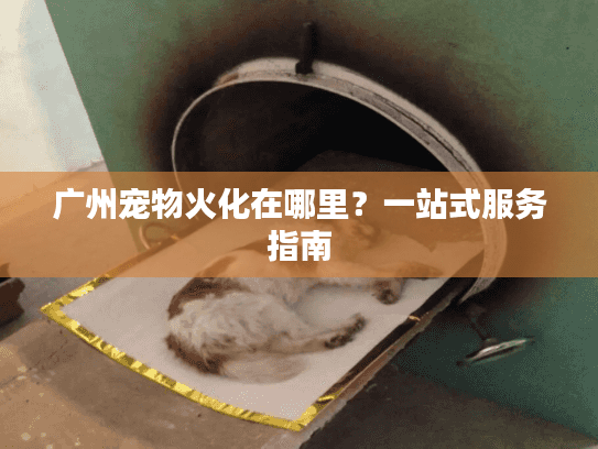 广州宠物火化在哪里？一站式服务指南