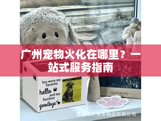 广州宠物火化在哪里？一站式服务指南