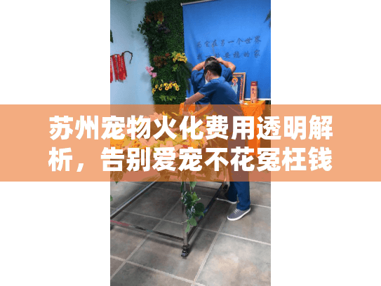 苏州宠物火化费用透明解析，告别爱宠不花冤枉钱的全程指南