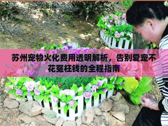 苏州宠物火化费用透明解析，告别爱宠不花冤枉钱的全程指南