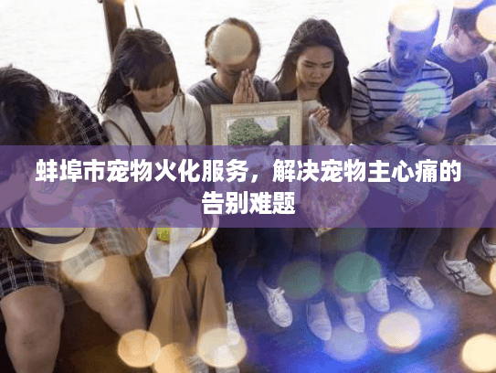 蚌埠市宠物火化服务，解决宠物主心痛的告别难题