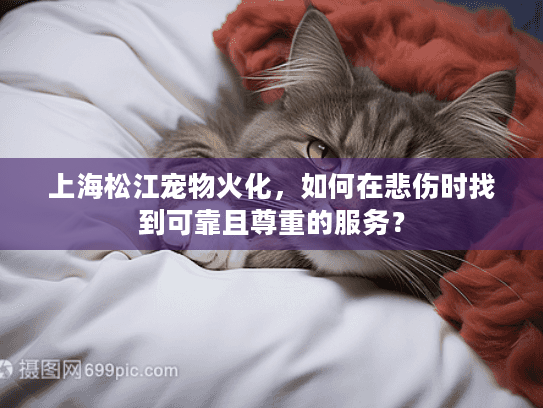 上海松江宠物火化，如何在悲伤时找到可靠且尊重的服务？