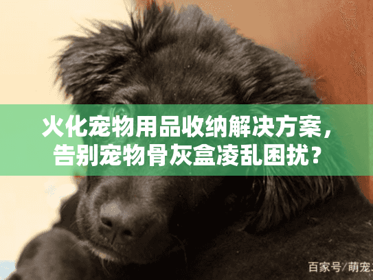 火化宠物用品收纳解决方案，告别宠物骨灰盒凌乱困扰？
