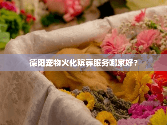 德阳宠物火化殡葬服务哪家好？