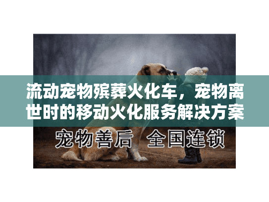 流动宠物殡葬火化车，宠物离世时的移动火化服务解决方案