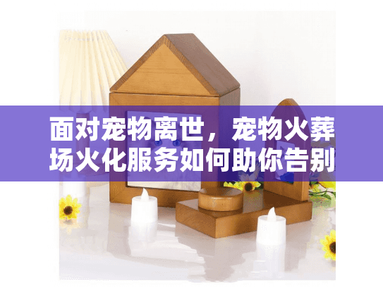 面对宠物离世，宠物火葬场火化服务如何助你告别悲伤？