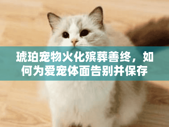 琥珀宠物火化殡葬善终，如何为爱宠体面告别并保存永恒纪念？