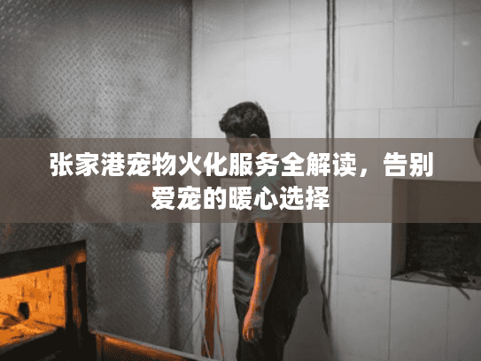 张家港宠物火化服务全解读，告别爱宠的暖心选择