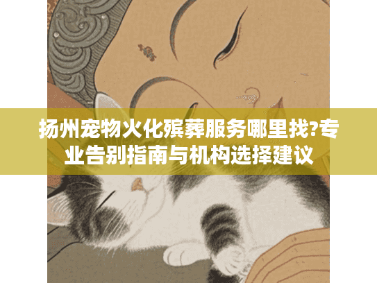 扬州宠物火化殡葬服务哪里找?专业告别指南与机构选择建议
