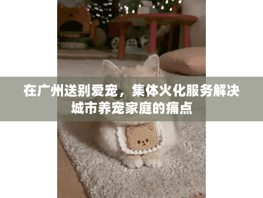 在广州送别爱宠，集体火化服务解决城市养宠家庭的痛点
