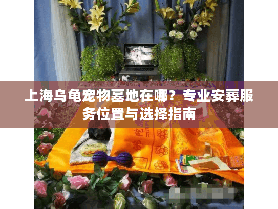 上海乌龟宠物墓地在哪？专业安葬服务位置与选择指南