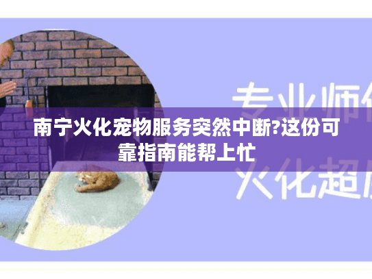 南宁火化宠物服务突然中断?这份可靠指南能帮上忙