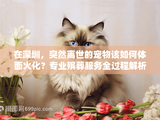 在深圳，突然离世的宠物该如何体面火化？专业殡葬服务全过程解析