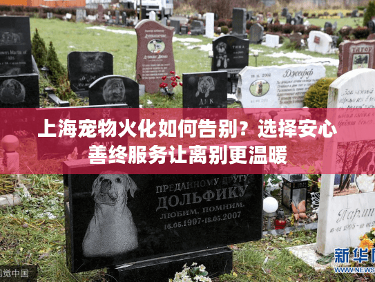 上海宠物火化如何告别？选择安心善终服务让离别更温暖