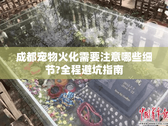 成都宠物火化需要注意哪些细节?全程避坑指南