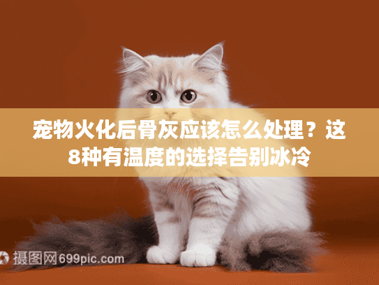 宠物火化后骨灰应该怎么处理？这8种有温度的选择告别冰冷