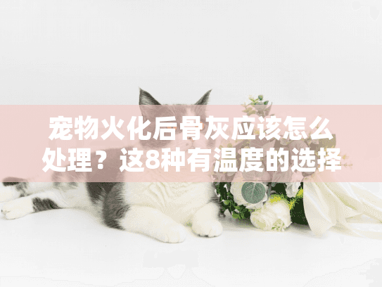 宠物火化后骨灰应该怎么处理？这8种有温度的选择告别冰冷