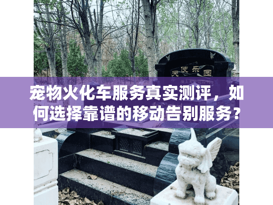 宠物火化车服务真实测评，如何选择靠谱的移动告别服务？