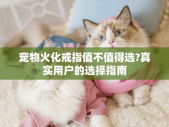 宠物火化戒指值不值得选?真实用户的选择指南
