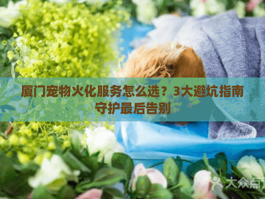 厦门宠物火化服务怎么选？3大避坑指南守护最后告别
