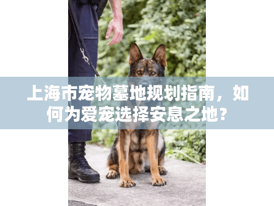 上海市宠物墓地规划指南，如何为爱宠选择安息之地？