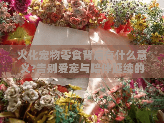 火化宠物零食背后有什么意义?告别爱宠与陪伴延续的温暖选择